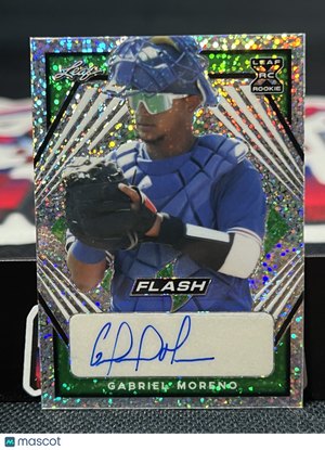 Descriptive image text